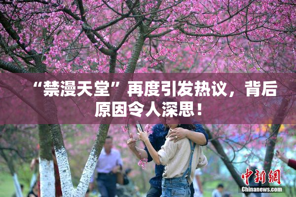 “禁漫天堂”再度引发热议，背后原因令人深思！