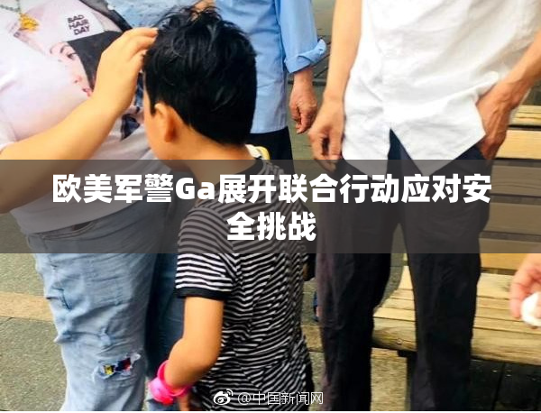 欧美军警Ga展开联合行动应对安全挑战