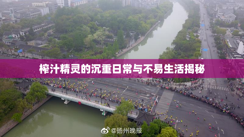 榨汁精灵的沉重日常与不易生活揭秘