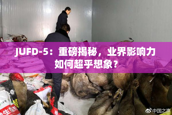 JUFD-5：重磅揭秘，业界影响力如何超乎想象？