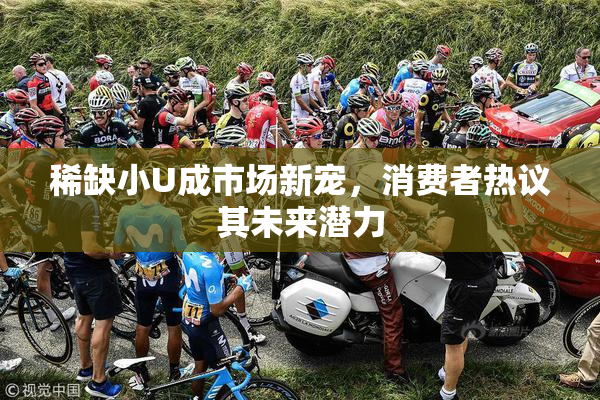 稀缺小U成市场新宠，消费者热议其未来潜力