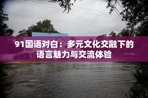 91国语对白：多元文化交融下的语言魅力与交流体验
