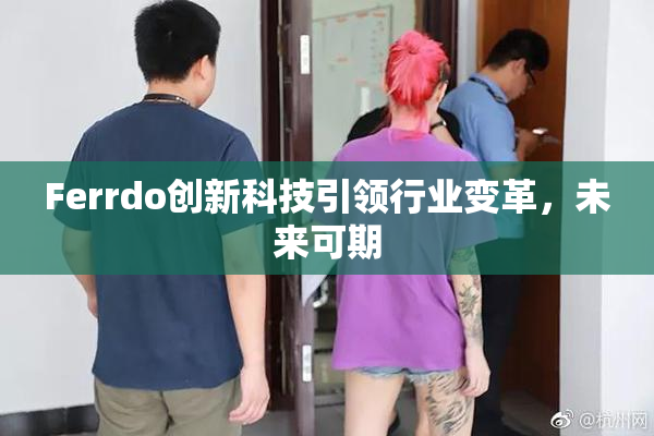 Ferrdo创新科技引领行业变革，未来可期
