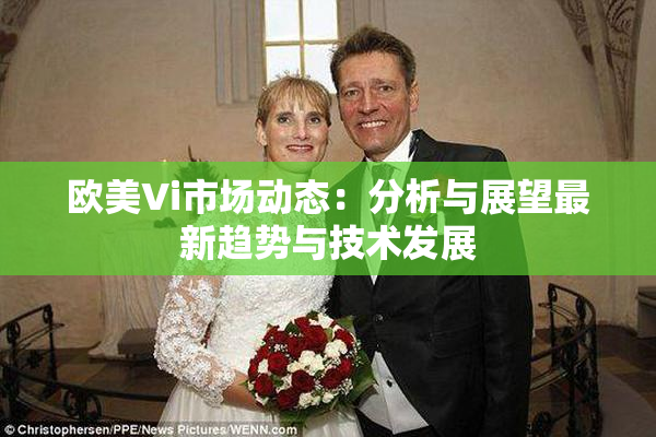 欧美Vi市场动态：分析与展望最新趋势与技术发展