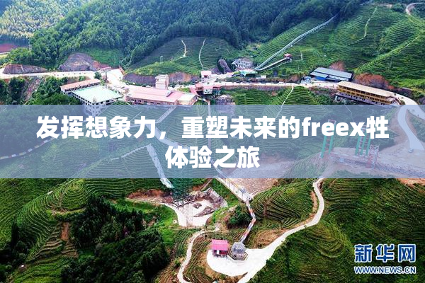 发挥想象力，重塑未来的freex牲体验之旅