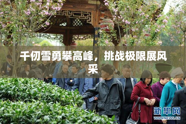 千仞雪勇攀高峰，挑战极限展风采