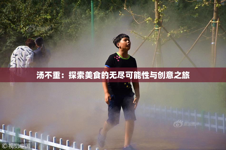 汤不重：探索美食的无尽可能性与创意之旅