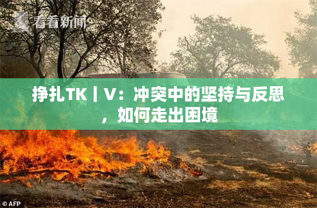 挣扎TK丨V：冲突中的坚持与反思，如何走出困境