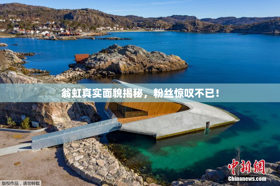 翁虹真实面貌揭秘，粉丝惊叹不已！