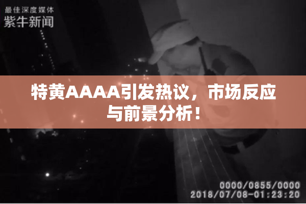 特黄AAAA引发热议，市场反应与前景分析！