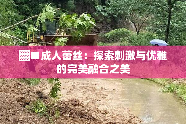 ▓■成人蕾丝：探索刺激与优雅的完美融合之美