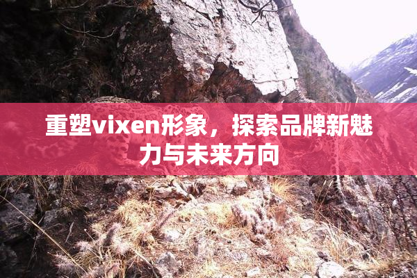 重塑vixen形象，探索品牌新魅力与未来方向