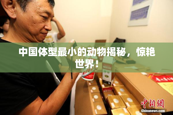 中国体型最小的动物揭秘，惊艳世界！