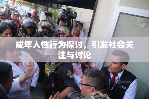成年人性行为探讨，引发社会关注与讨论