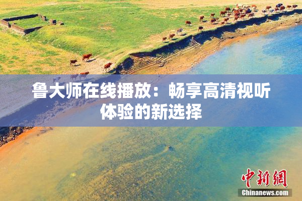 鲁大师在线播放：畅享高清视听体验的新选择