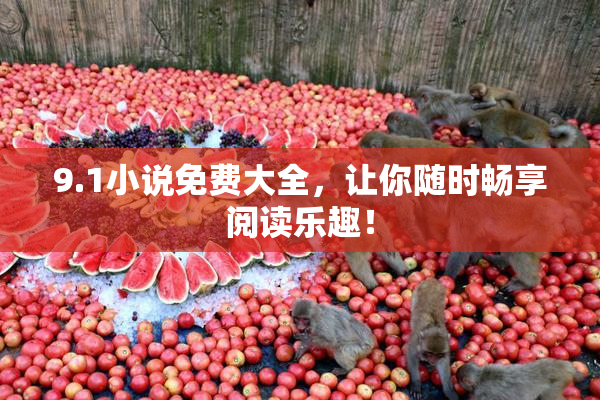 9.1小说免费大全，让你随时畅享阅读乐趣！