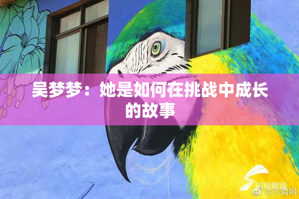 吴梦梦：她是如何在挑战中成长的故事