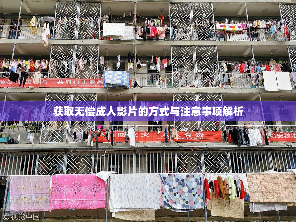 获取无偿成人影片的方式与注意事项解析