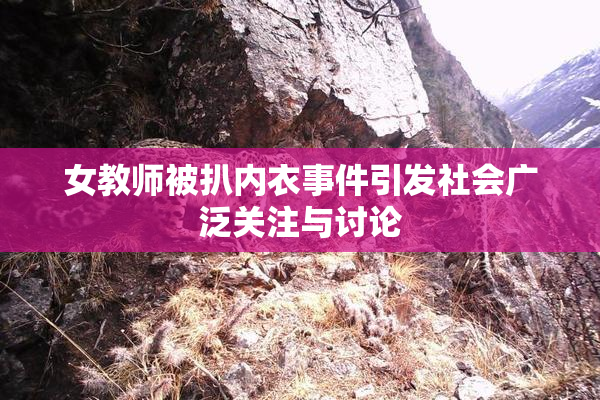 女教师被扒内衣事件引发社会广泛关注与讨论