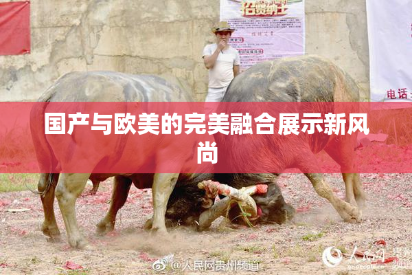 国产与欧美的完美融合展示新风尚