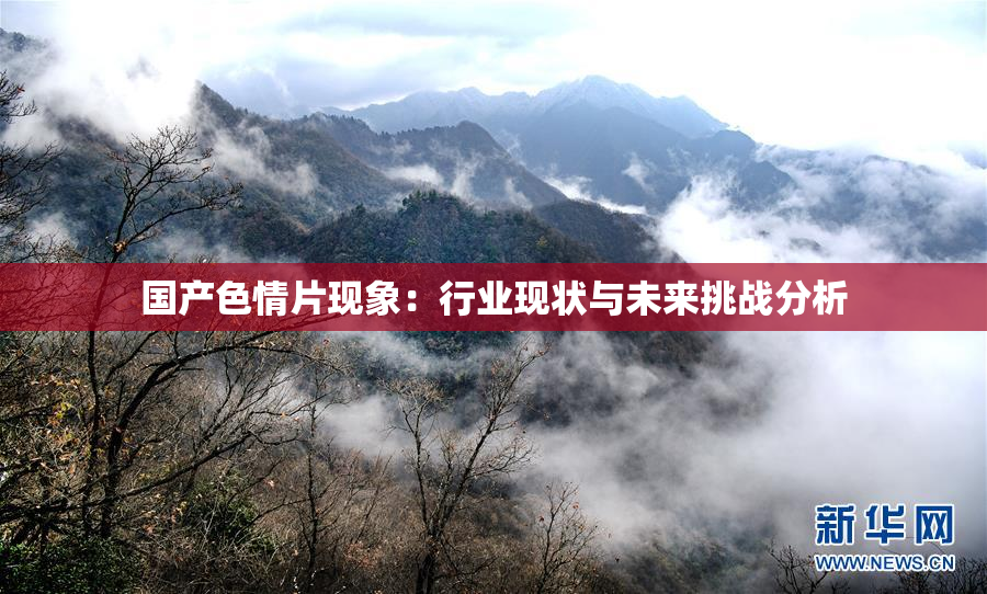 国产色情片现象：行业现状与未来挑战分析