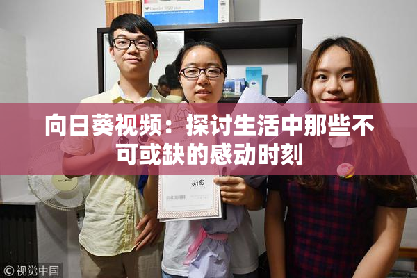 向日葵视频：探讨生活中那些不可或缺的感动时刻