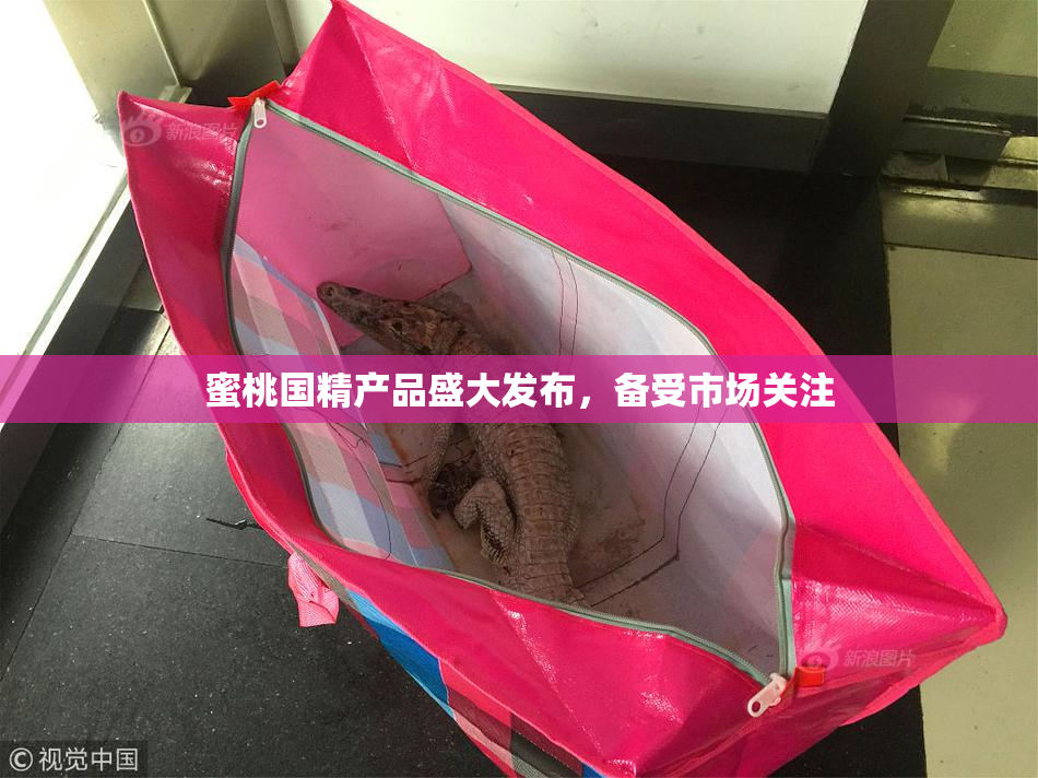 蜜桃国精产品盛大发布，备受市场关注
