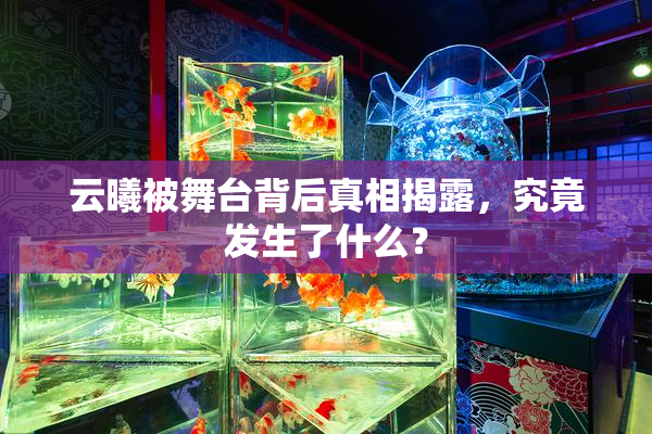 云曦被舞台背后真相揭露，究竟发生了什么？