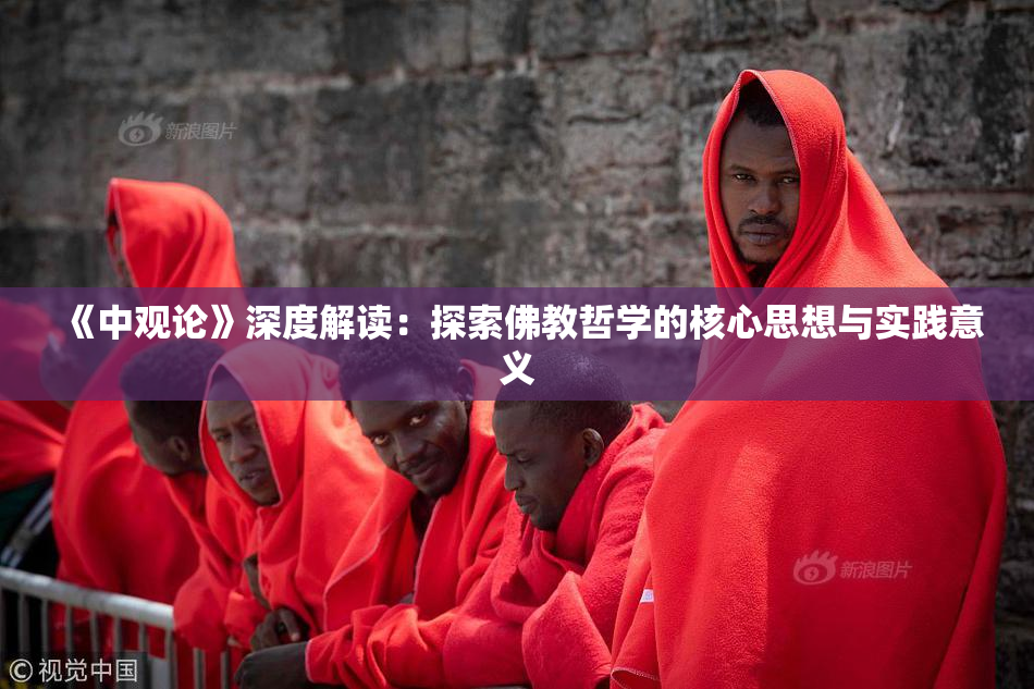 《中观论》深度解读：探索佛教哲学的核心思想与实践意义