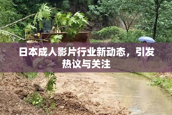 日本成人影片行业新动态，引发热议与关注