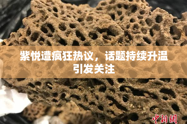 紫悦遭疯狂热议，话题持续升温引发关注