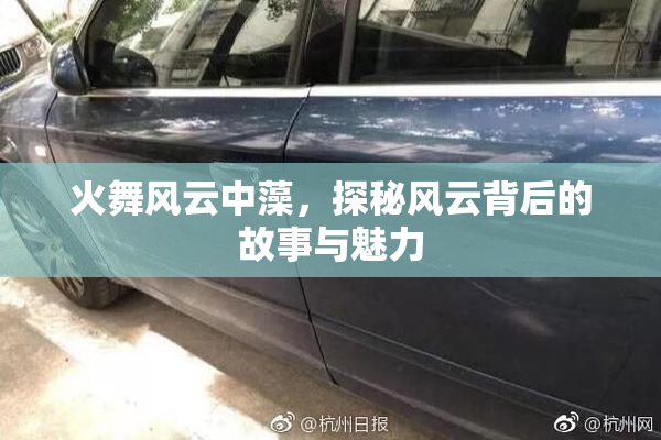 火舞风云中藻，探秘风云背后的故事与魅力