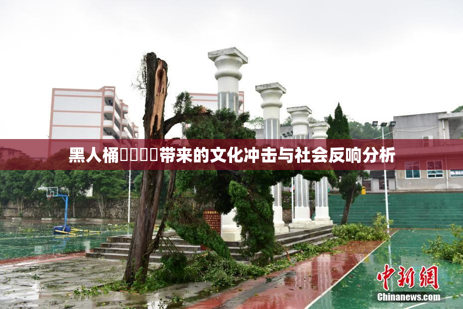黑人桶❌‌❌‌带来的文化冲击与社会反响分析
