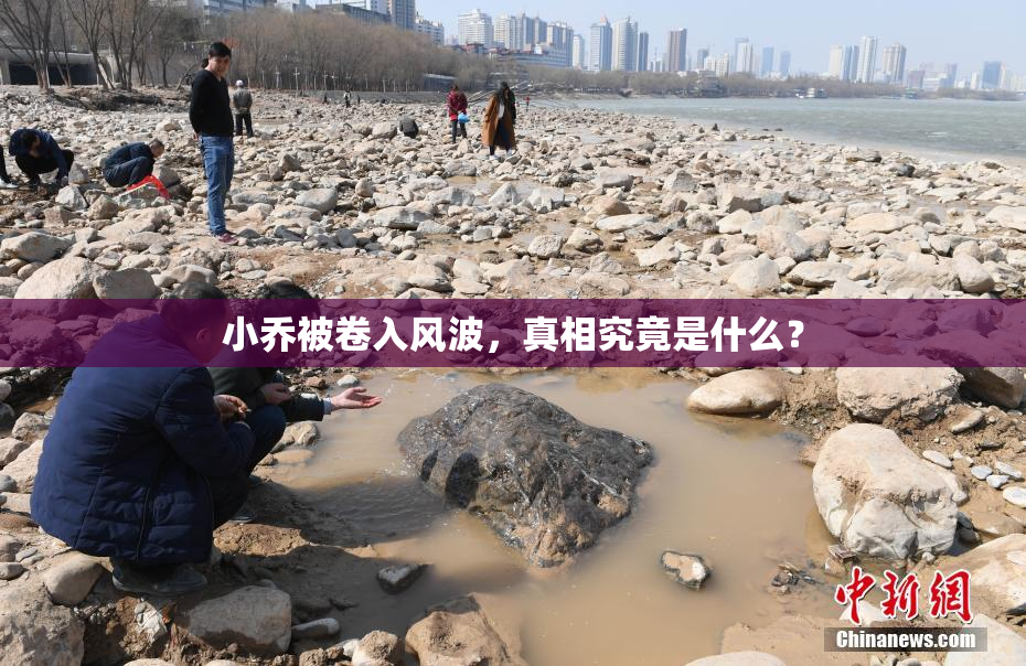小乔被卷入风波，真相究竟是什么？