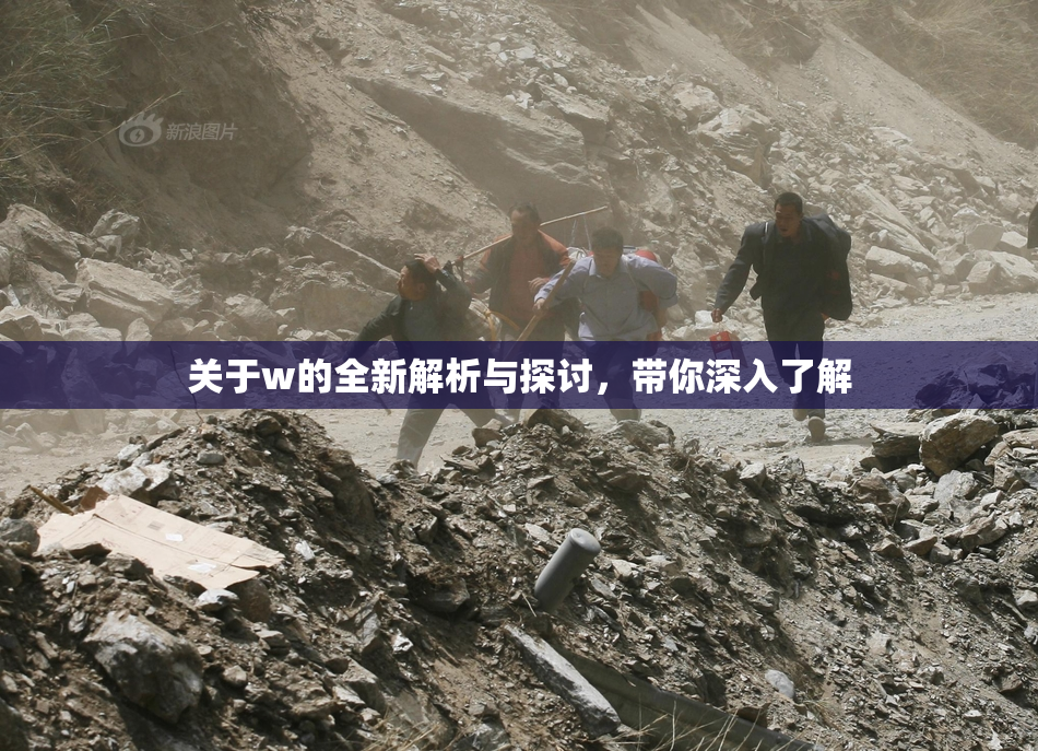 关于w的全新解析与探讨，带你深入了解