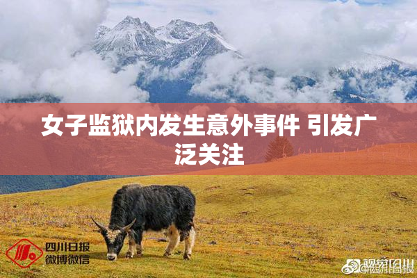 女子监狱内发生意外事件 引发广泛关注