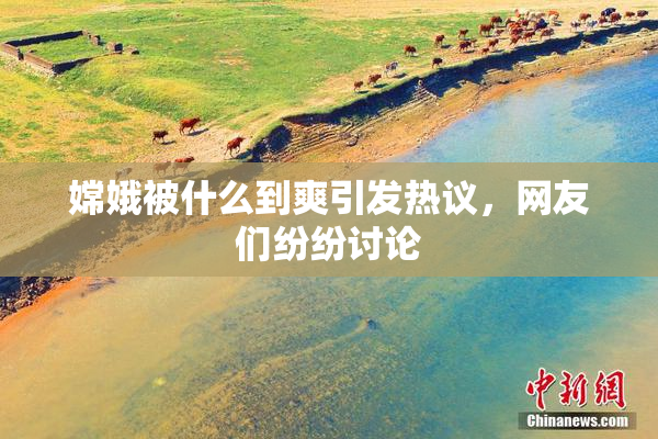 嫦娥被什么到爽引发热议，网友们纷纷讨论