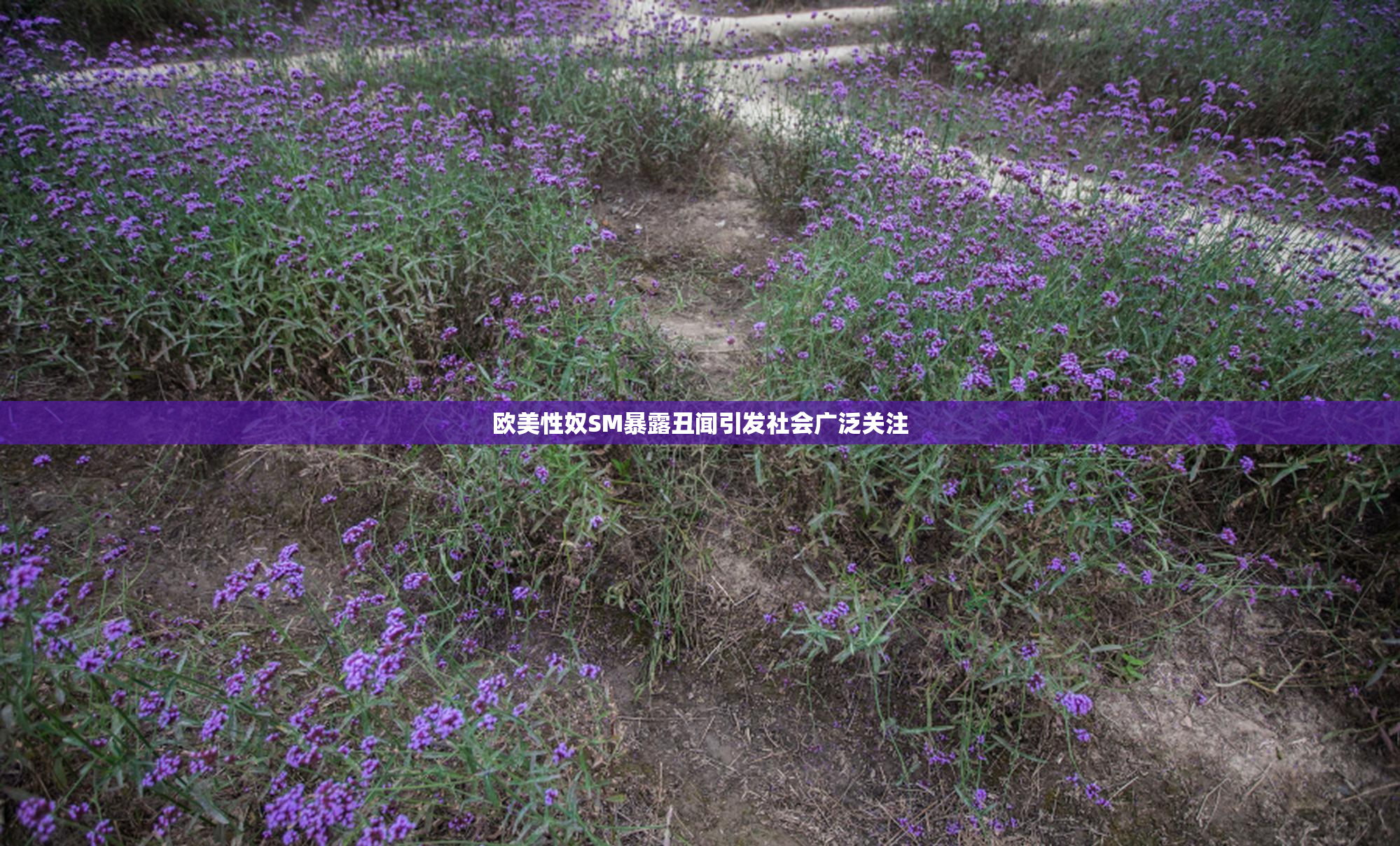 欧美性奴SM暴露丑闻引发社会广泛关注
