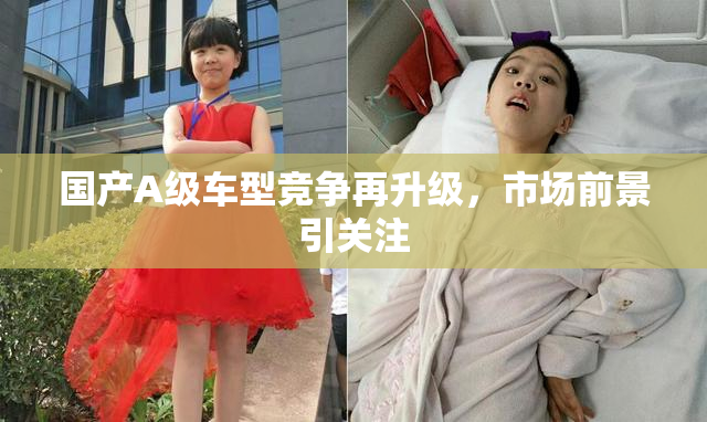 国产A级车型竞争再升级，市场前景引关注