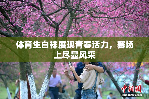 体育生白袜展现青春活力，赛场上尽显风采