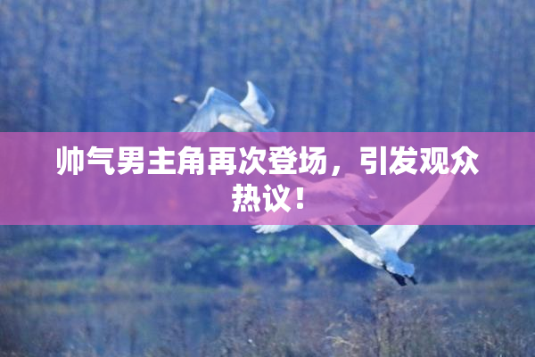 帅气男主角再次登场，引发观众热议！