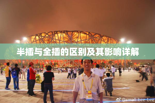 半插与全插的区别及其影响详解