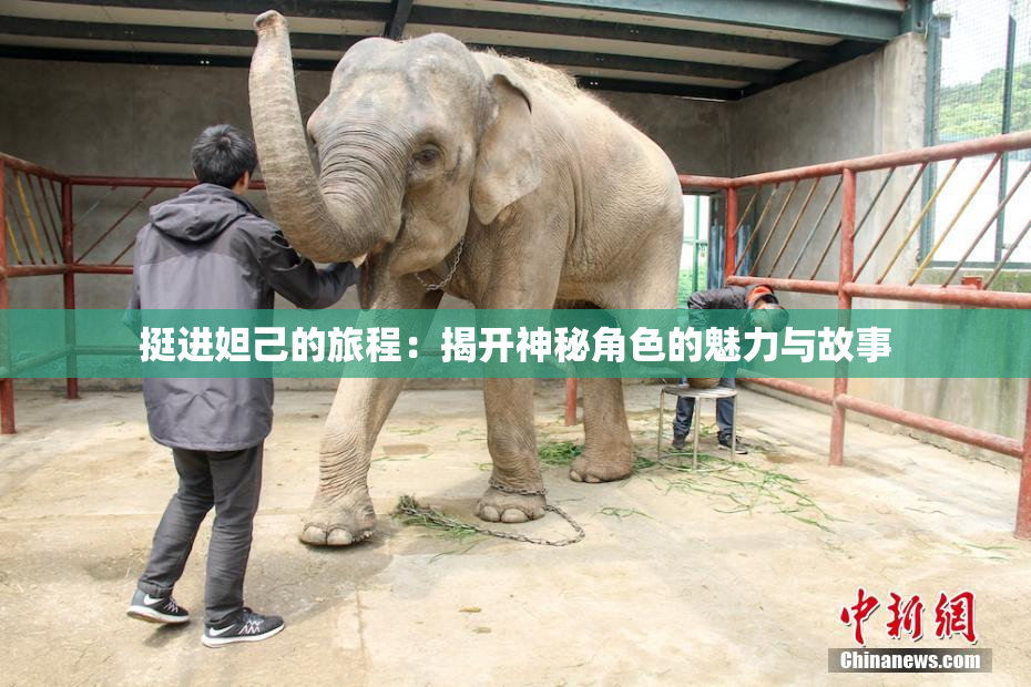 挺进妲己的旅程：揭开神秘角色的魅力与故事