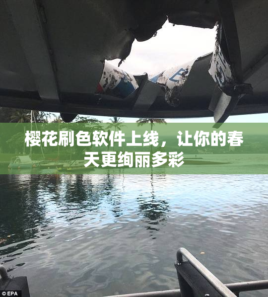樱花刷色软件上线，让你的春天更绚丽多彩