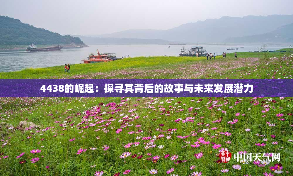 4438的崛起：探寻其背后的故事与未来发展潜力