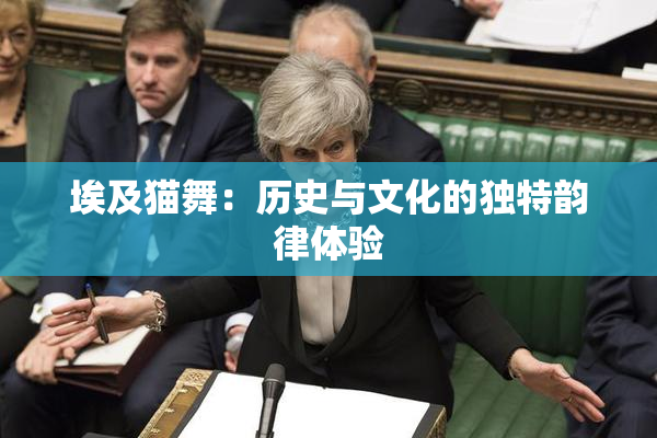埃及猫舞：历史与文化的独特韵律体验