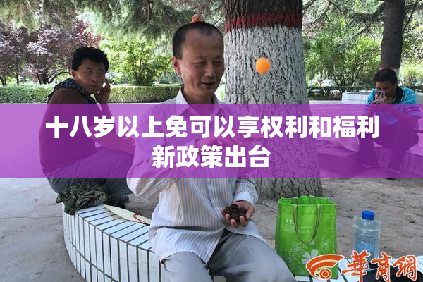 十八岁以上免可以享权利和福利新政策出台