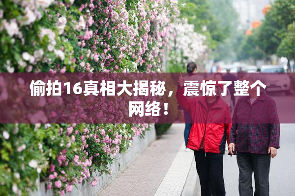 偷拍16真相大揭秘，震惊了整个网络！