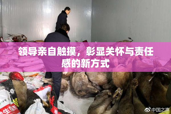 领导亲自触摸，彰显关怀与责任感的新方式