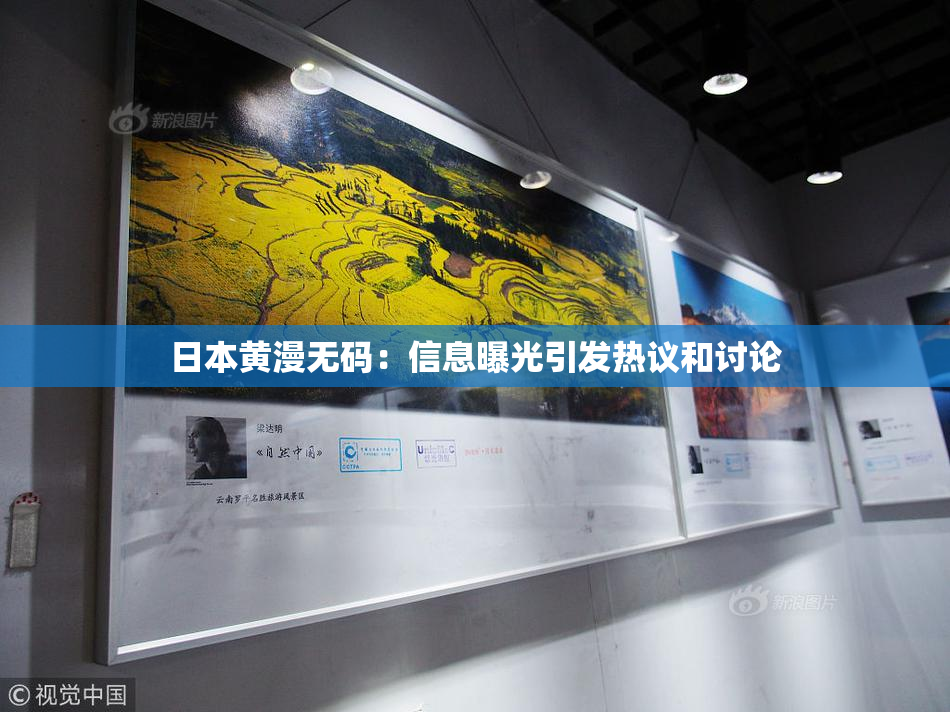 日本黄漫无码：信息曝光引发热议和讨论